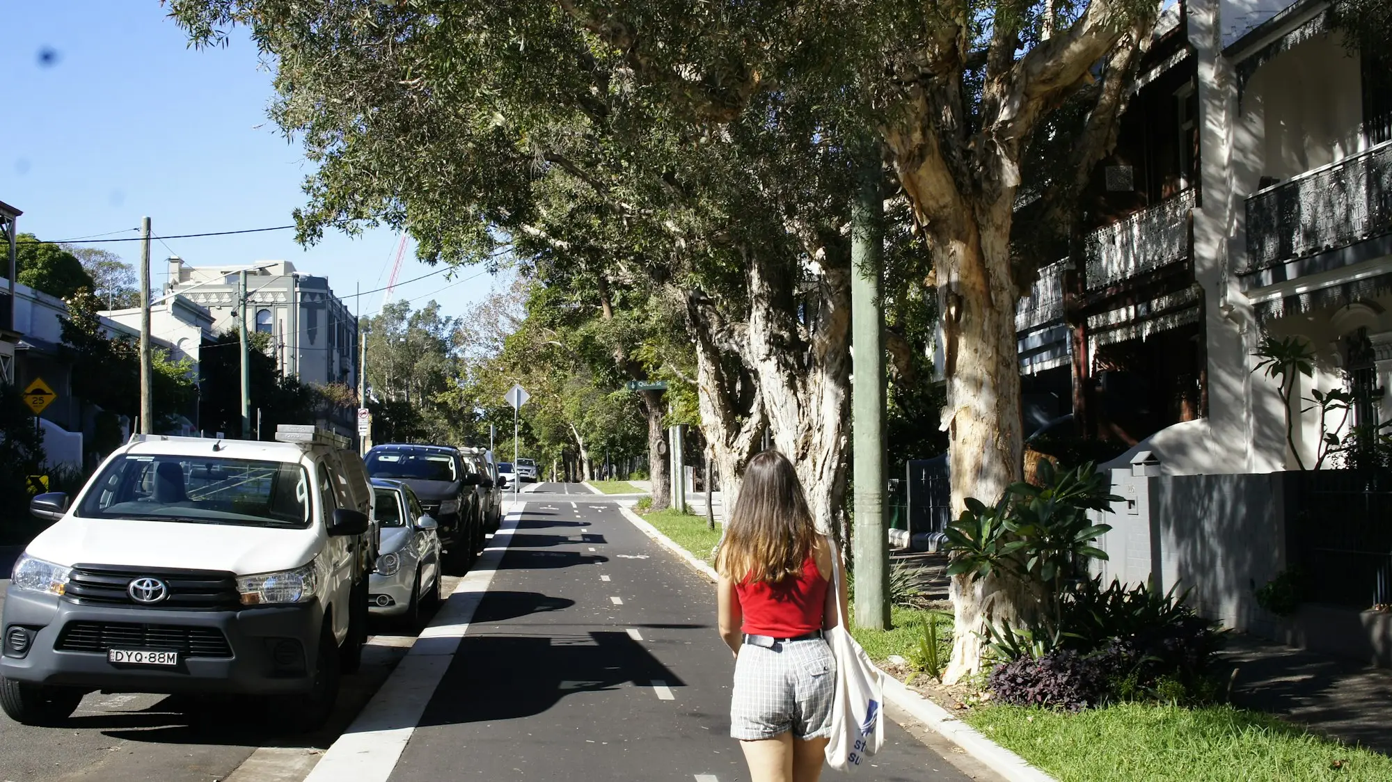 Tree-lined high street with shopfronts in Newtown, New South Wales